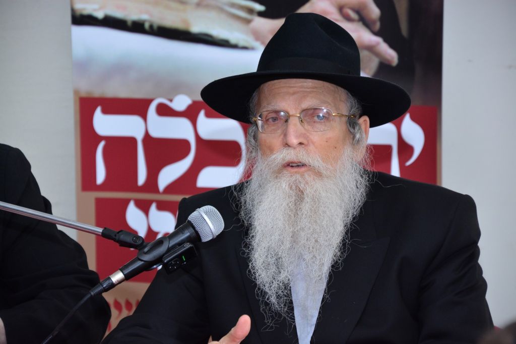 תמונה (299) (Large)